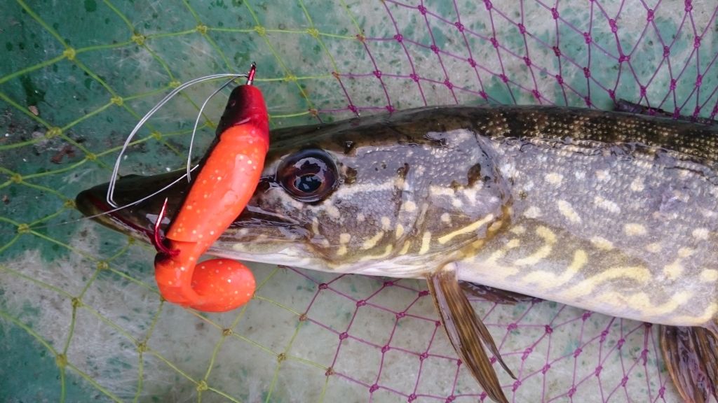 Autors: manalidaka.wordpress.com