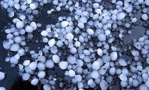 Autors: www.delfi.lv