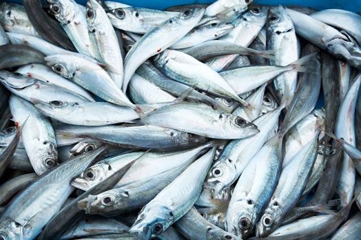 Autors: www.kasjauns.lv