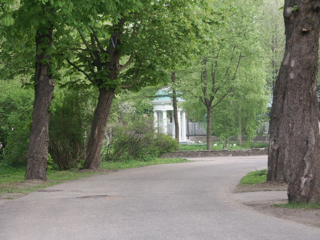 Aluksniesiem.lv raksta attēla aizvietotājs