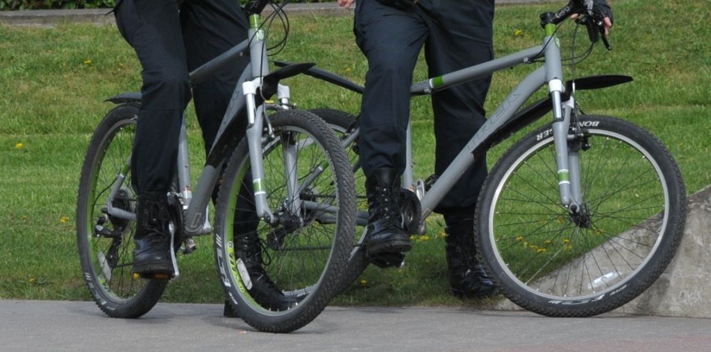 Autors: Dainis Ģelzis