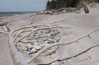 Autors: www.videsfonds.lv