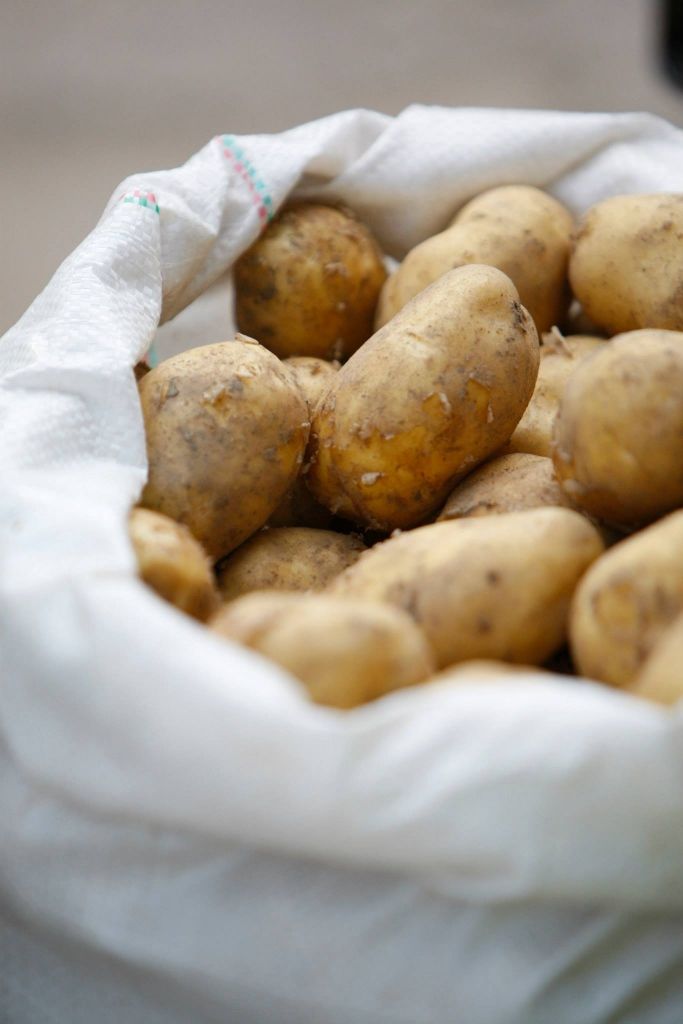 Autors: Publicitātes foto