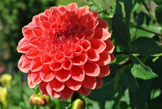 Autors: ziemellatvija.diena.lv