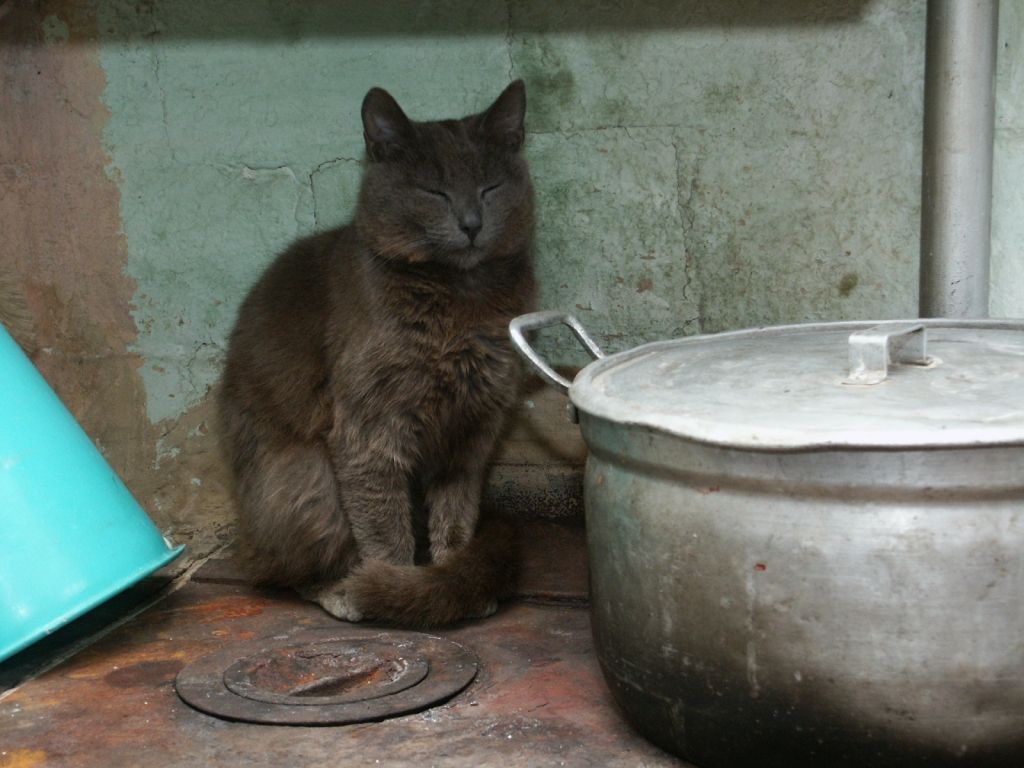 Autors: Dainis Ģelzis