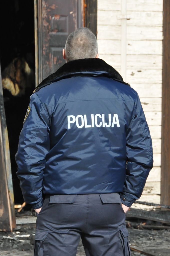 Autors: Dainis Ģelzis