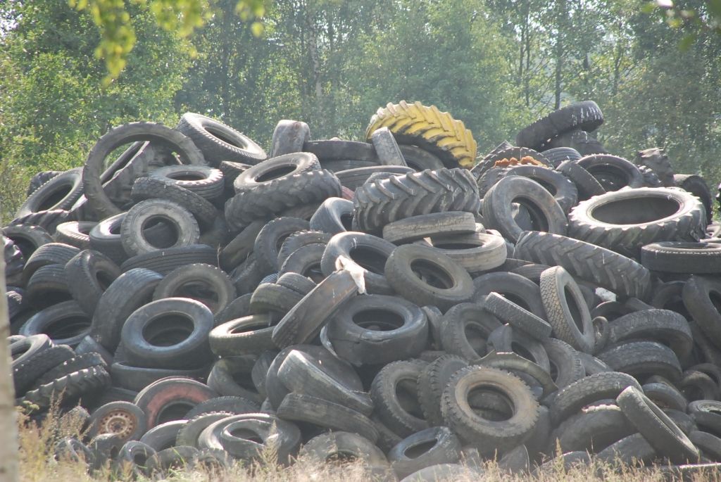 Autors: Dainis Ģelzis
