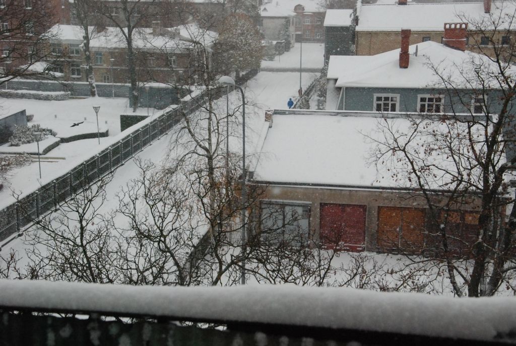 Autors: Uldis Dobelis