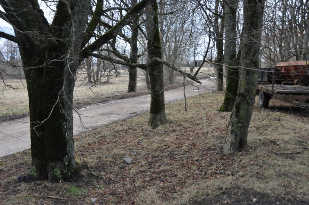 Autors: Dainis Ģelzis