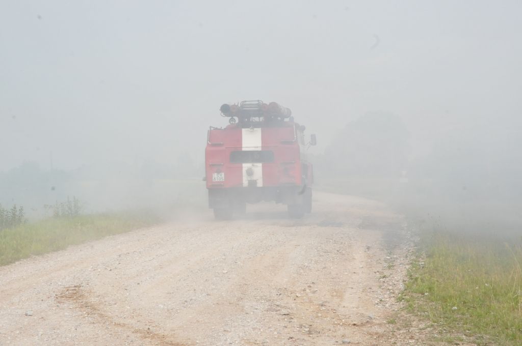 Autors: Dainis Ģelzis