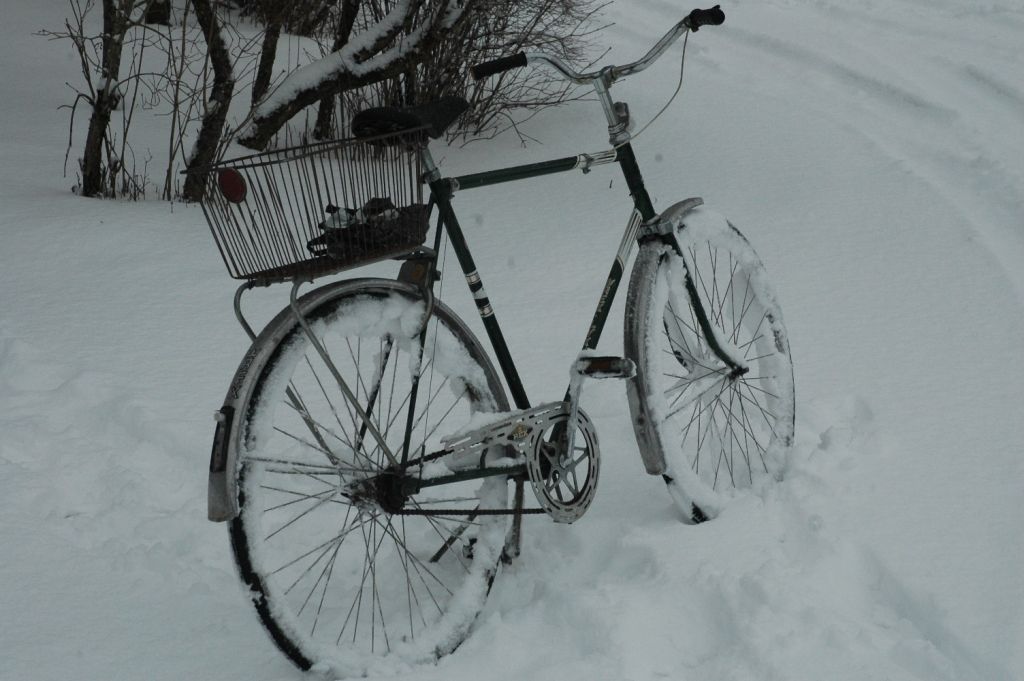 Autors: Dainis Ģelzis