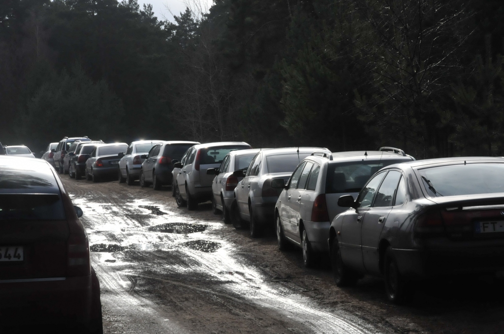 Autors: Dainis Ģelzis