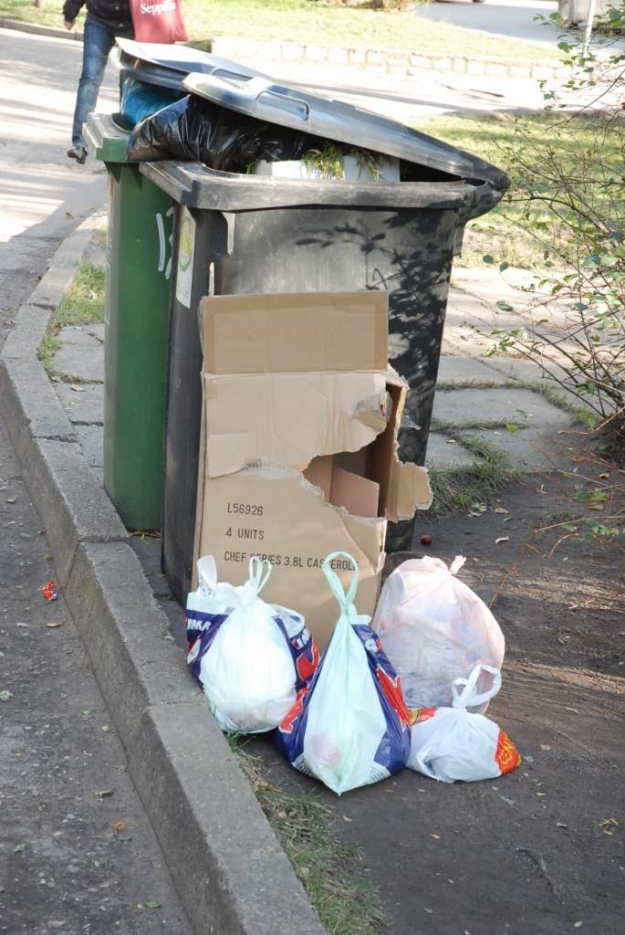 Autors: Dainis Ģelzis