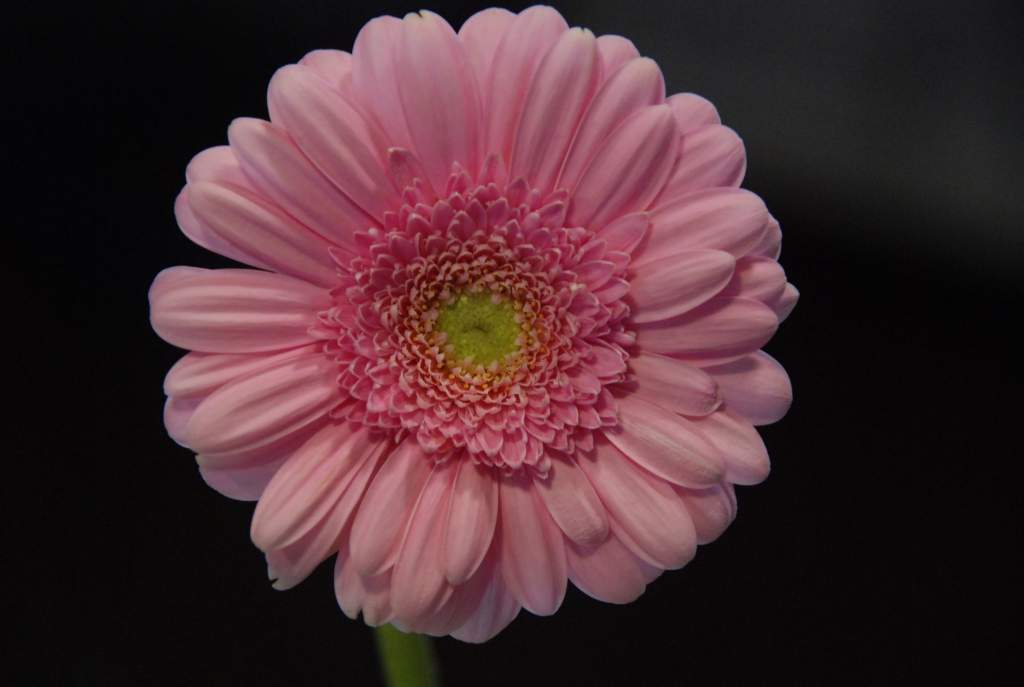 Autors: Dainis Ģelzis