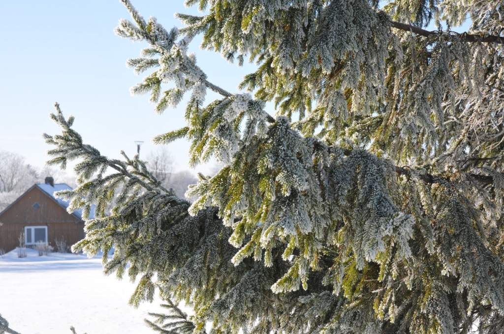 Autors: Dainis Ģelzis