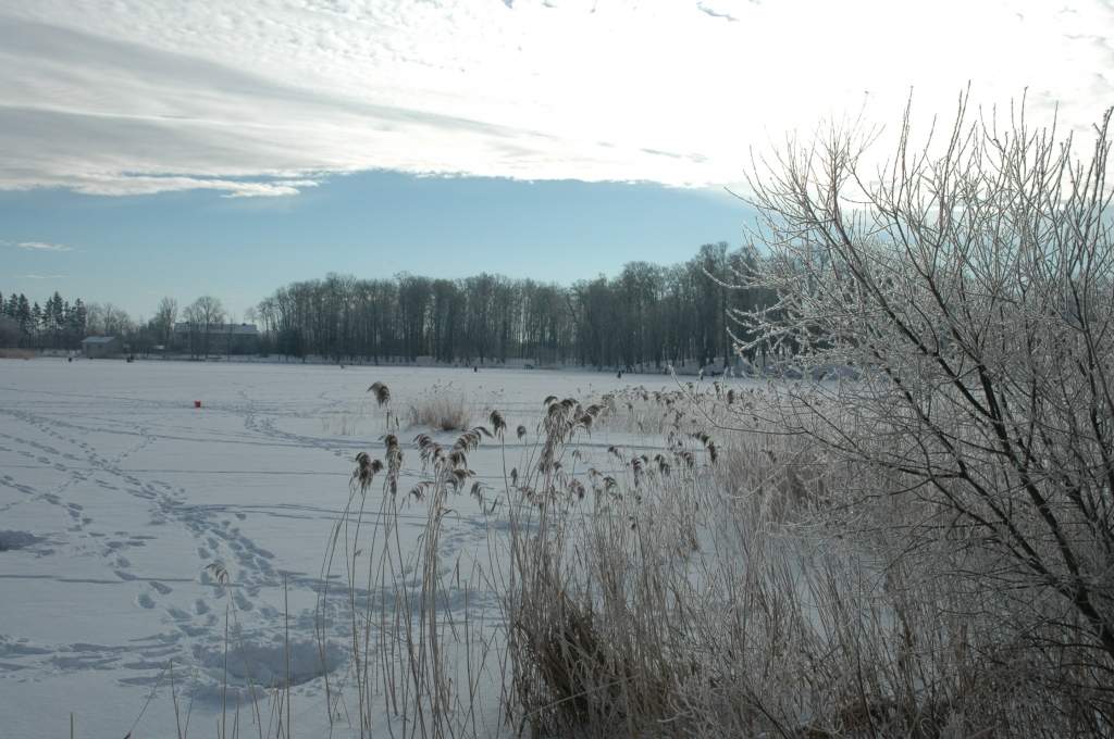 Autors: Dainis Ģelzis