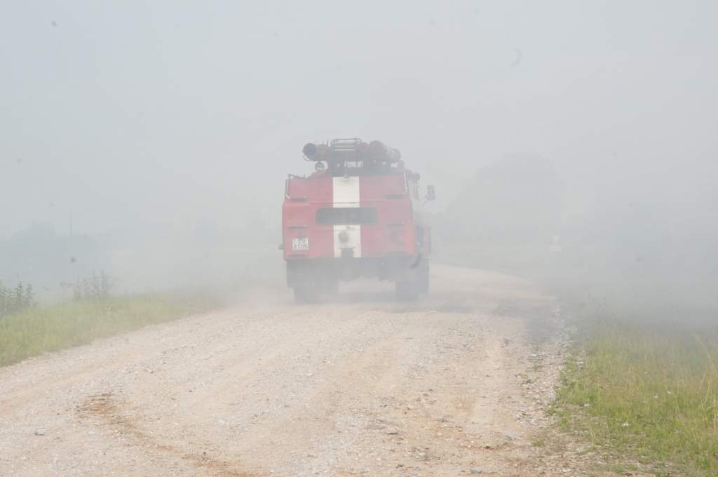 Autors: Dainis Ģelzis