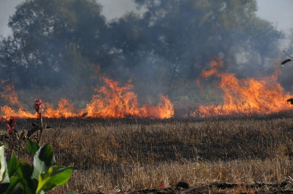 Autors: Dainis Ģelzis