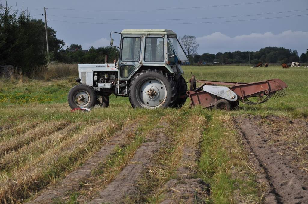 Ilustratīvs foto.
Autors: Dainis Ģelzis
