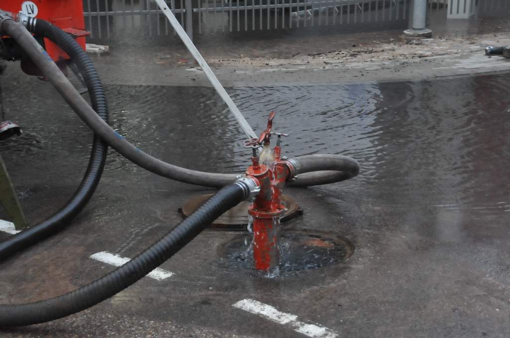 Autors: Dainis Ģelzis