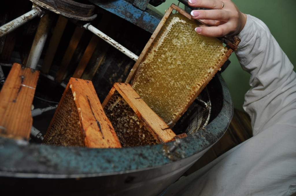 Autors: Dainis Ģelzis