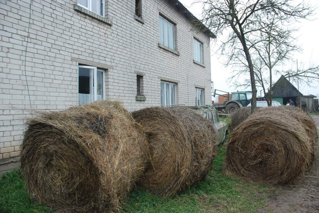 Autors: Dainis Ģelzis