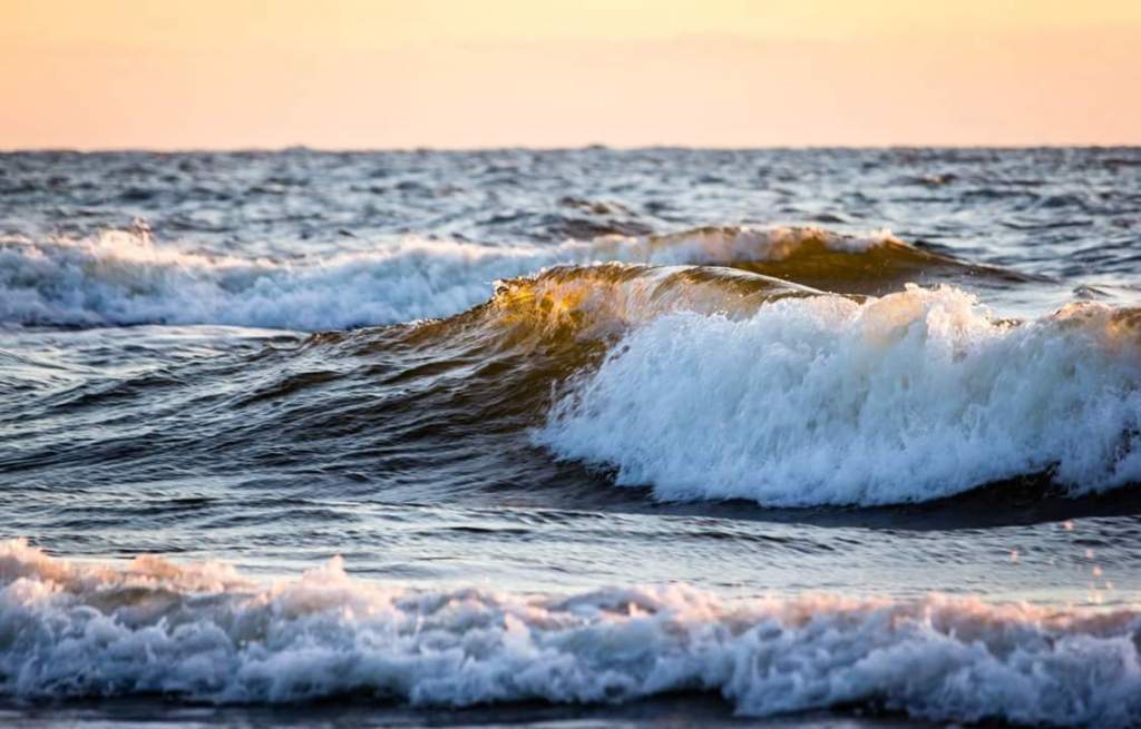 Autors: Raitis Karlsons