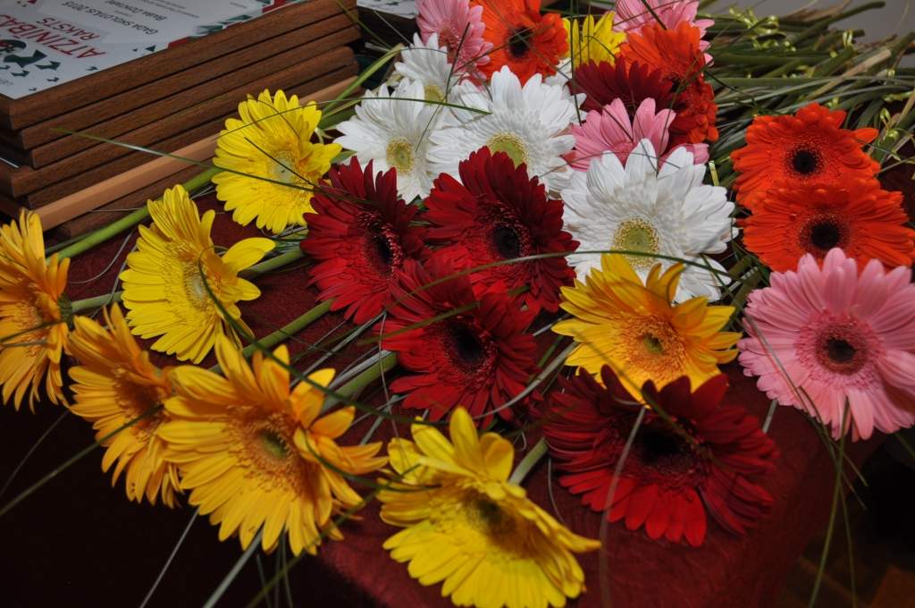 Autors: Dainis Ģelzis