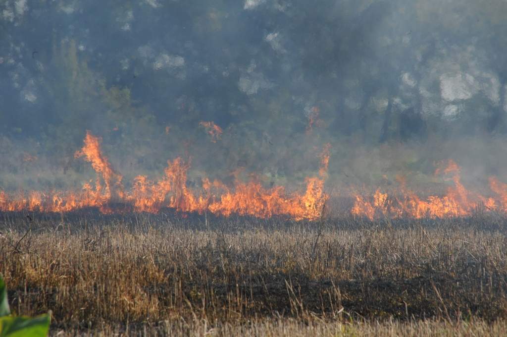 Autors: Dainis Ģelzis