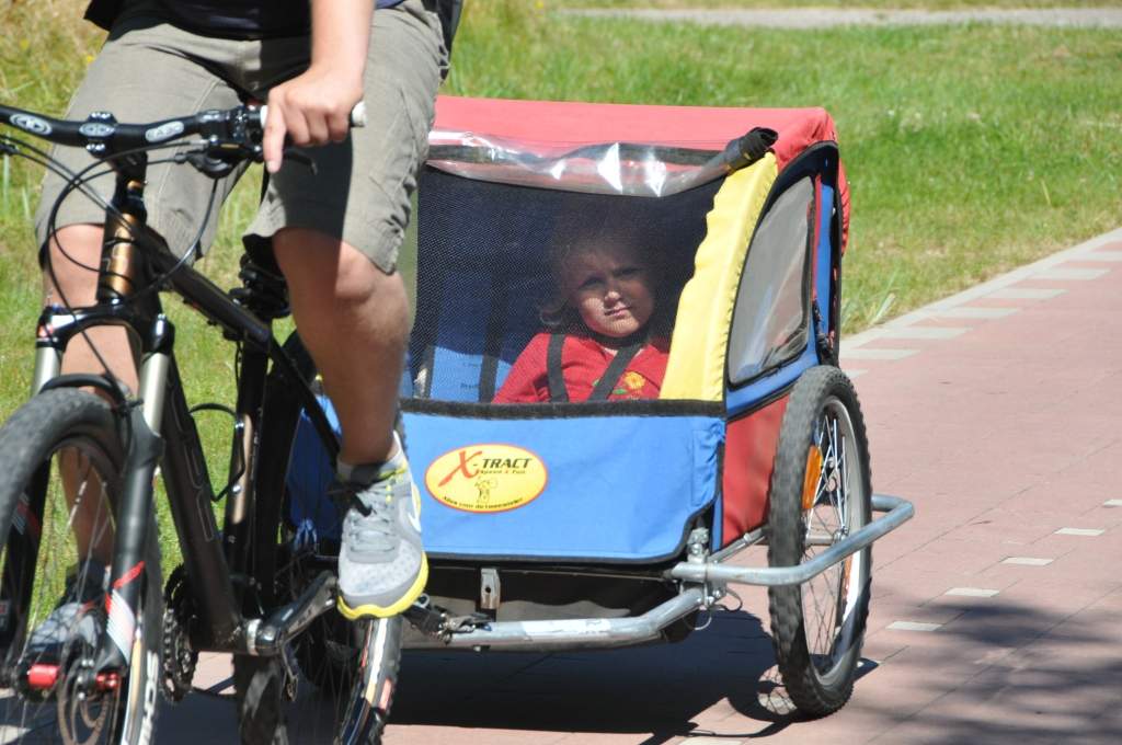 Autors: Dainis Ģelzis