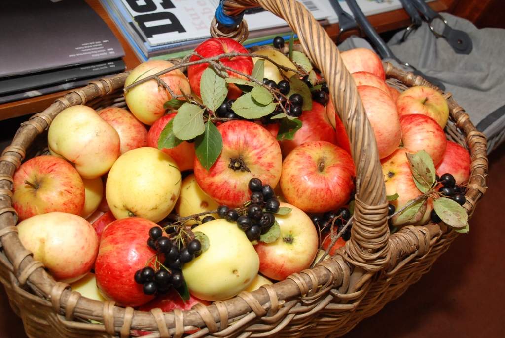 Autors: Dainis Ģelzis