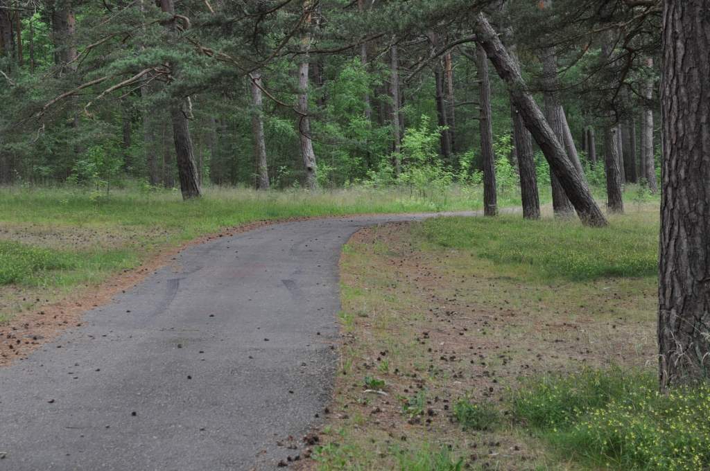 Autors: Dainis Ģelzis