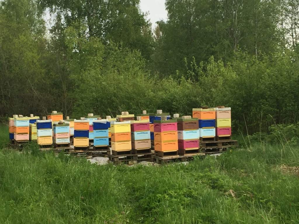 Autors: publicitātes