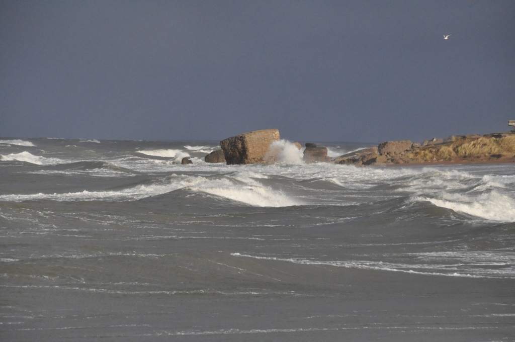 Autors: Dainis Ģelzis