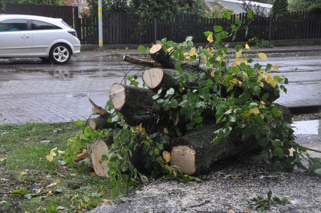 Autors: Dainis Ģelzis