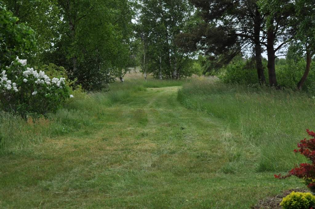 Autors: Dainis Ģelzis