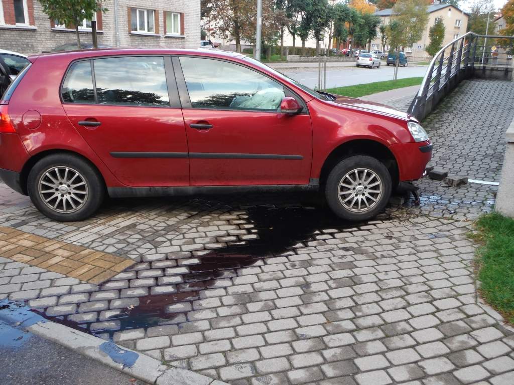 Autors: Valsts policija