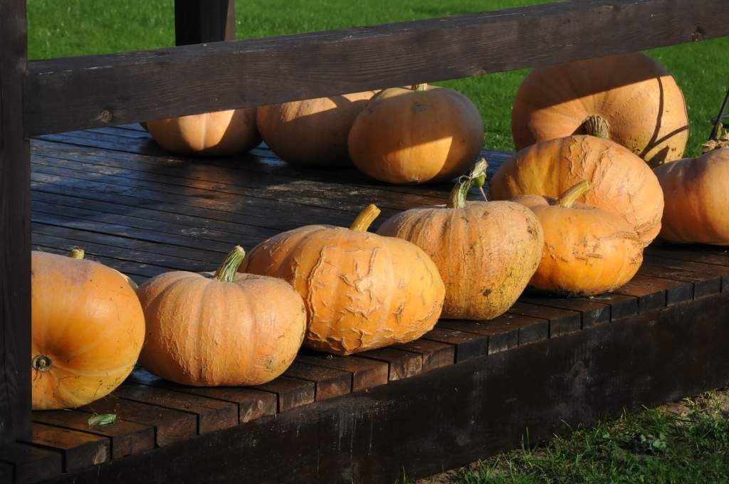 Autors: Dainis Ģelzis