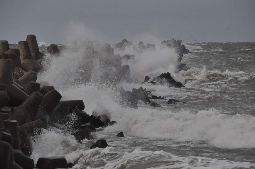 Autors: Dainis Ģelzis