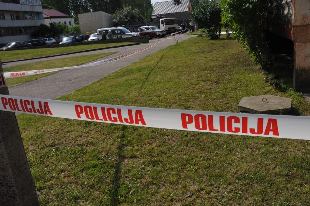 Autors: Dainis Ģelzis