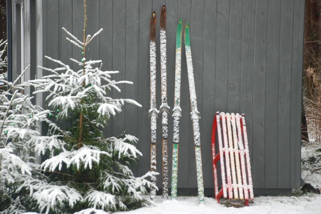 Autors: Dainis Ģelzis