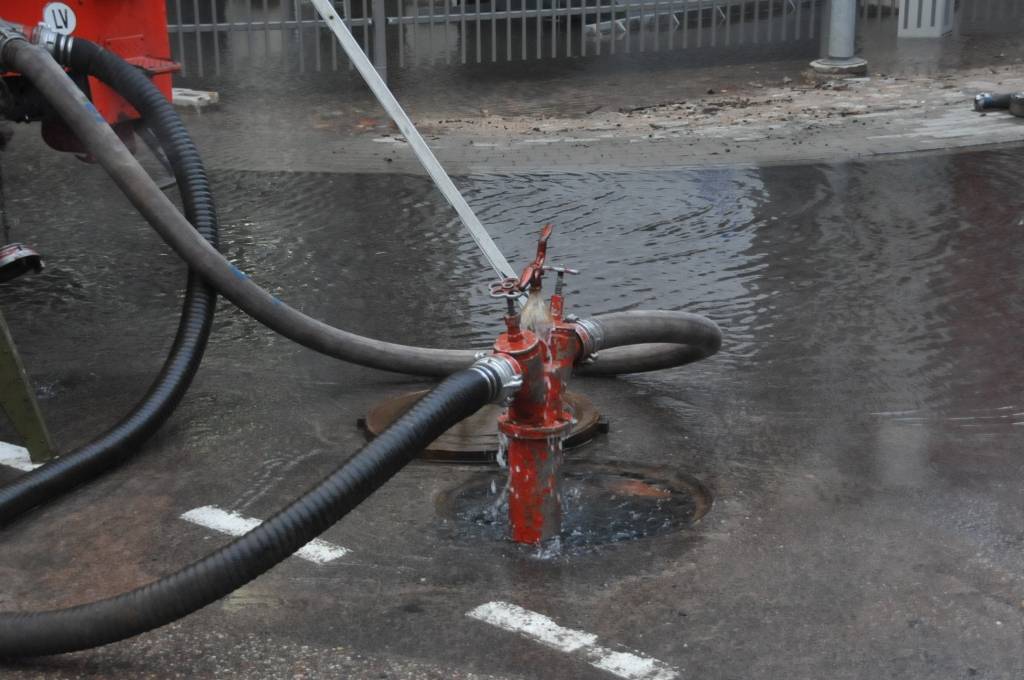 Autors: Dainis Ģelzis