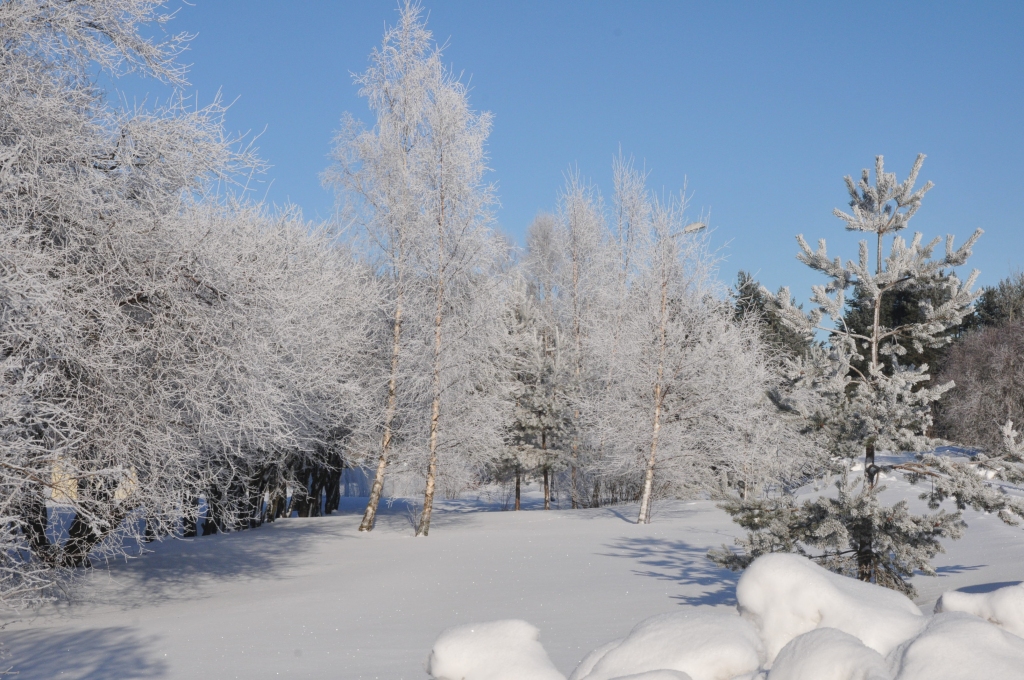 Autors: Dainis Ģelzis