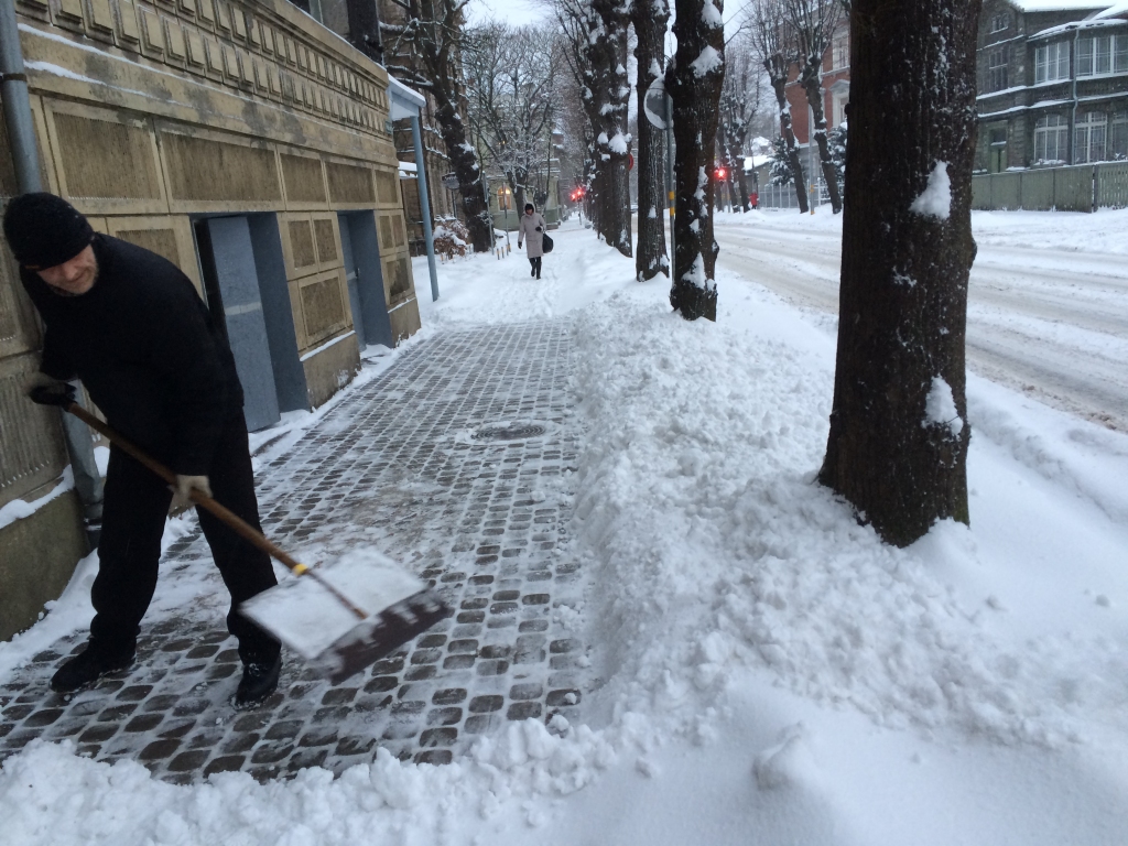 Autors: ''Komunālā pārvalde''