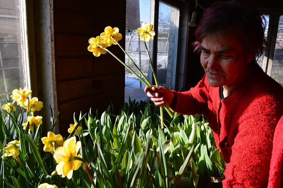 Autors: Liepājas Pētertirgus