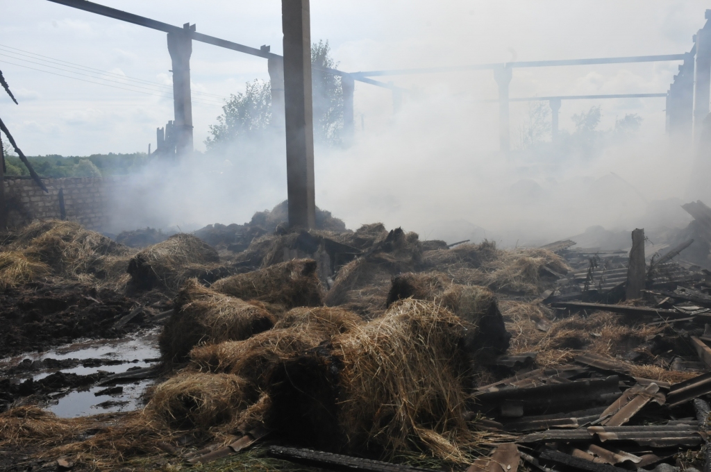 Ilustratīvs foto.
Autors: Dainis Ģelzis