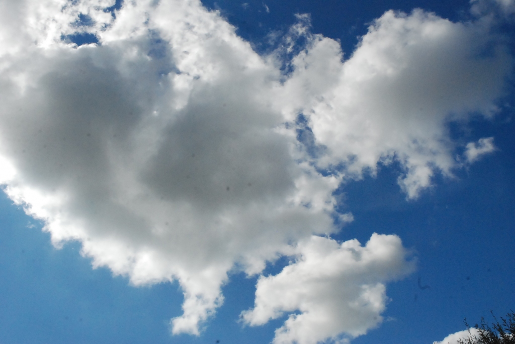 Autors: Dainis Ģelzis