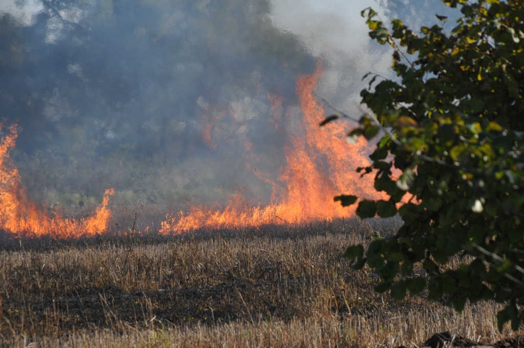 Autors: Dainis Ģelzis