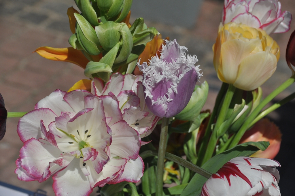 Autors: DAINIS ĢELZIS