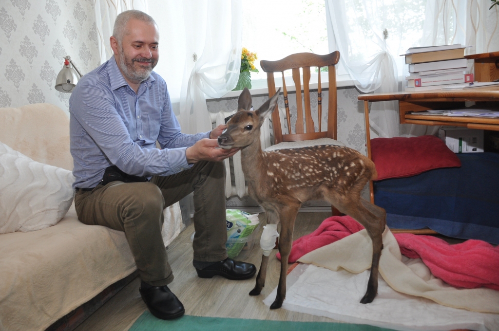 Autors: Dainis Ģelzis